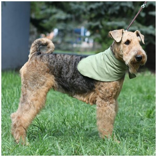 Косынка для собак “Osso Fashion”, охлаждающая, унисекс, цвет: оливковый. Размер L