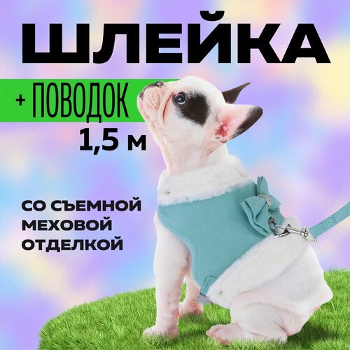 Шлейка-жилет с меховой отделкой + поводок, размер L