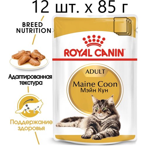 Влажный корм для кошек Royal Canin Maine Coon Adult, для взрослых кошек породы мейн-кун, 12 шт. х 85 г (кусочки в соусе)